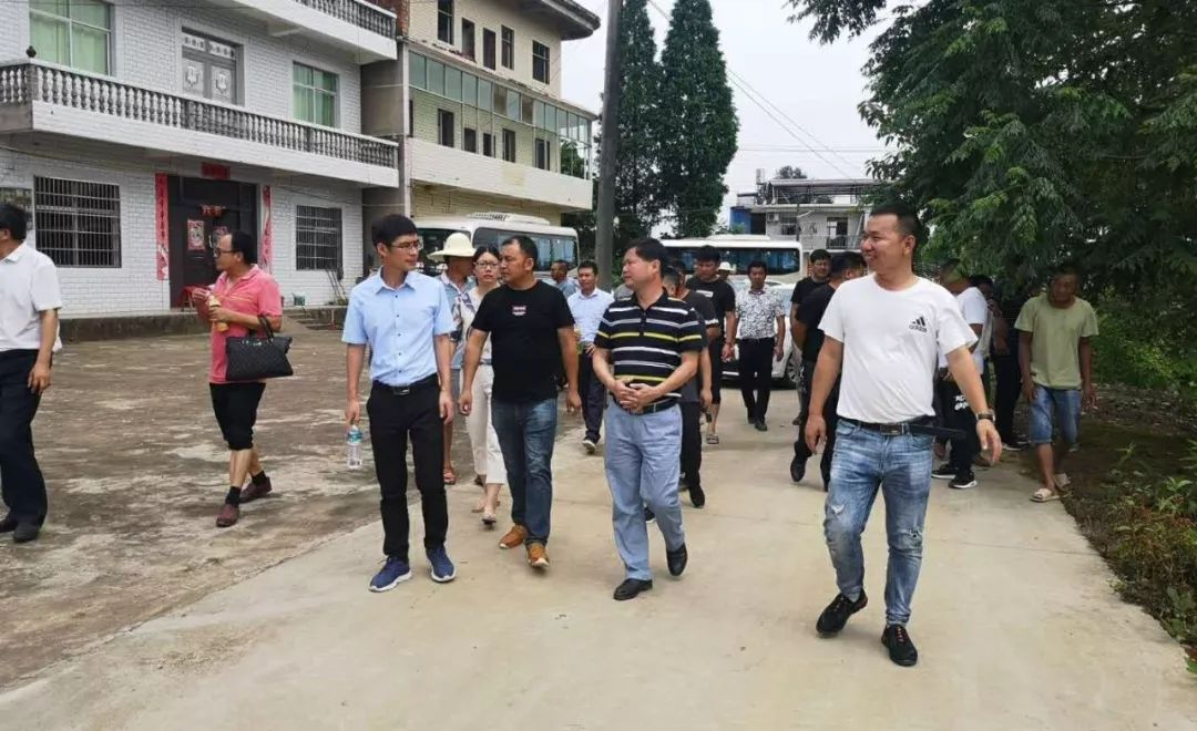 石镇镇召开"五清二改一管护"工作现场交流推进会