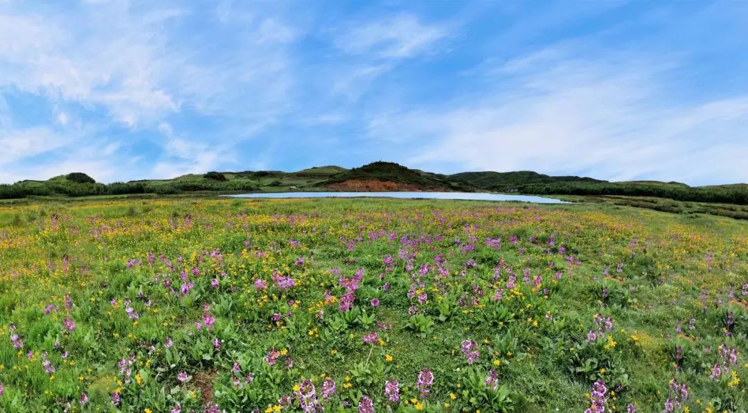 美到醉人昭通永善永安村大海子的花儿开啦蓝天绿地沁人心脾
