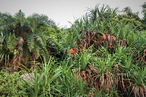 广东茂名的最大岛屿,潜水夜钓一站式服务带你玩个够