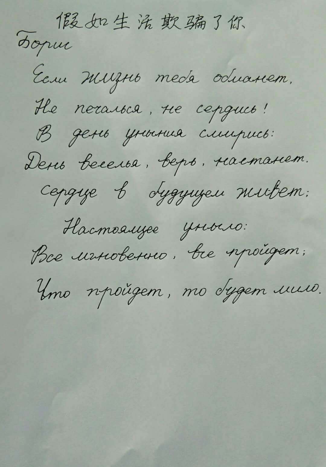 普希金诗歌俄语书法大赛投票(第一组)