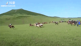 摔跤,赛马,射箭是传统项目,如今又添加了马球,田径等,每次都是热闹