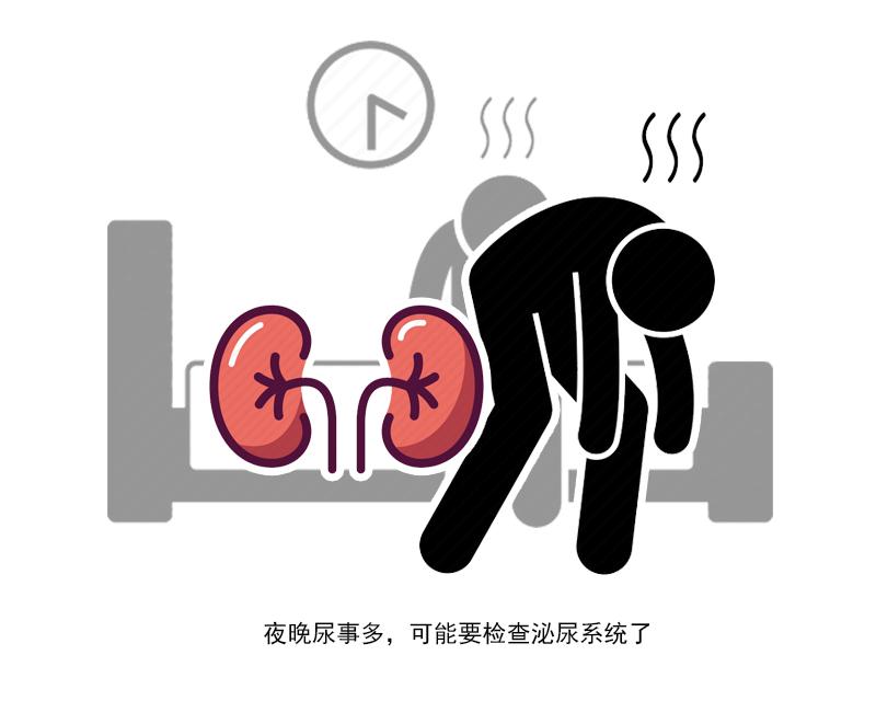 但是步入衰老期之后,会有明显体力不足的感觉,还没爬几层楼梯就已经