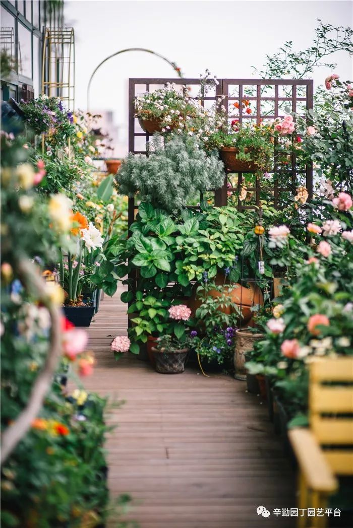 2019--月光香榭 空中花园