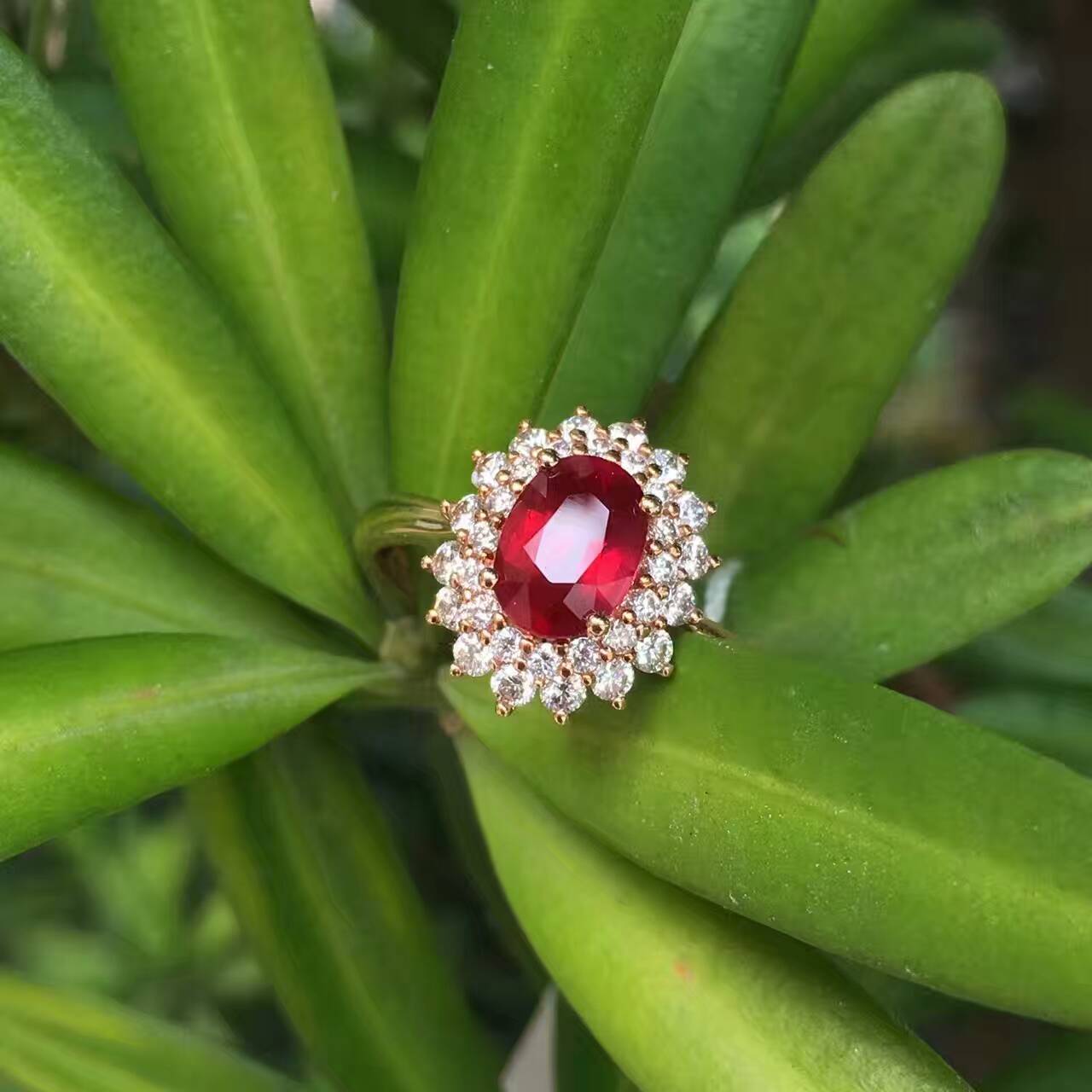 什么是星光红宝石如何挑选质量好的红宝石