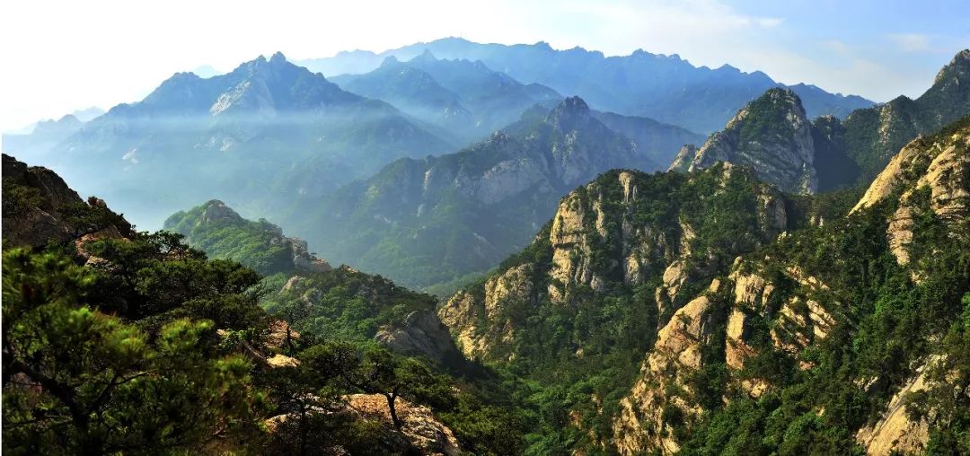 山东山排名_山东白酒排名前100名(2)