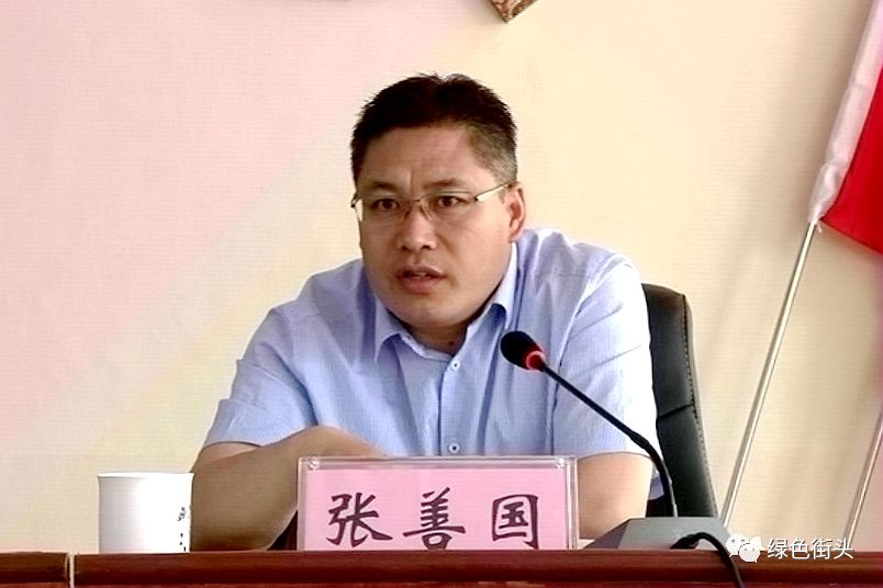 街头镇党委书记张善国,市生