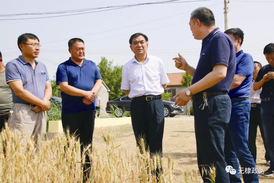 县委书记丁锋视察指导三夏生产防汛抗旱工作