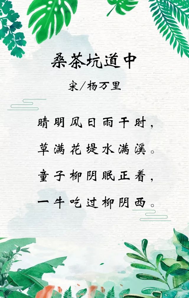 桑茶坑道中季节图片