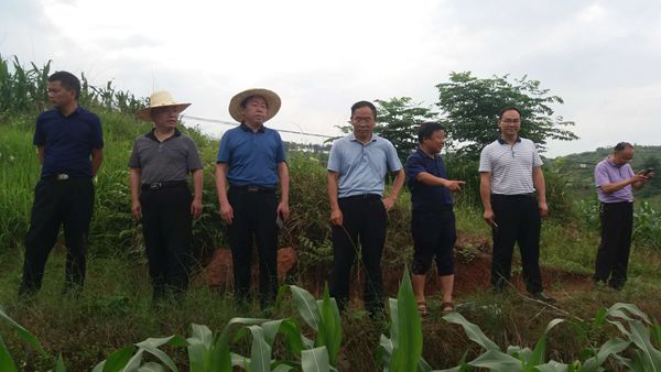 6月2-5日,省农业农村厅副巡视员严德荣同志带领厅法规处,省植保植检站