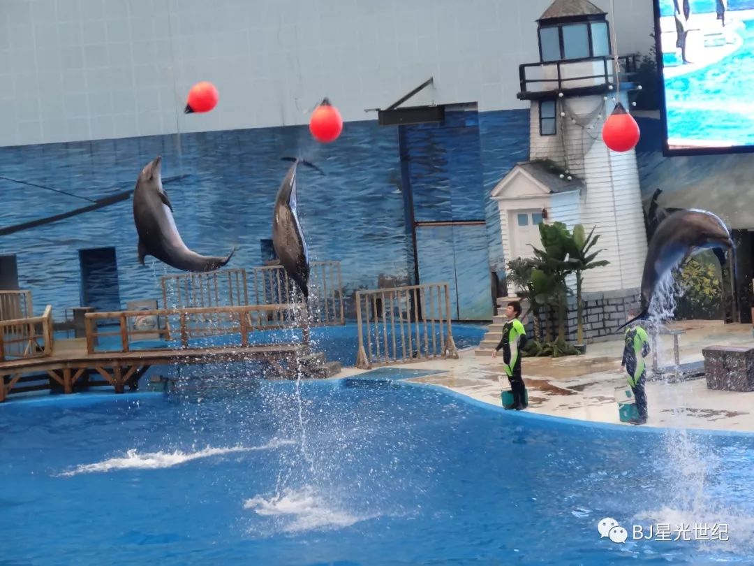 常德天津双飞至尊五日游