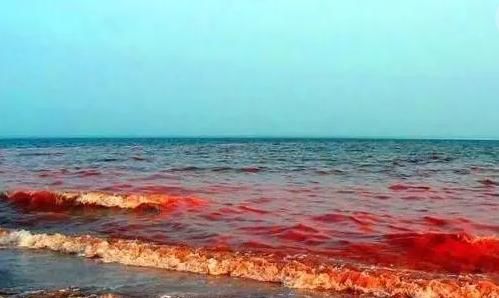 科普海洋赤潮灾害基本常识