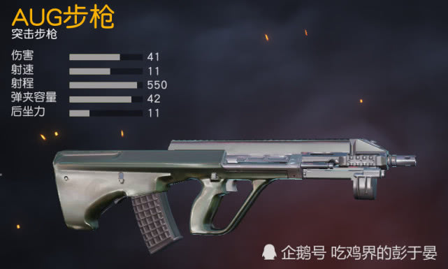 荒野行动:被菜鸟当宝的几把枪,在大神眼里却是垃圾!_sacr