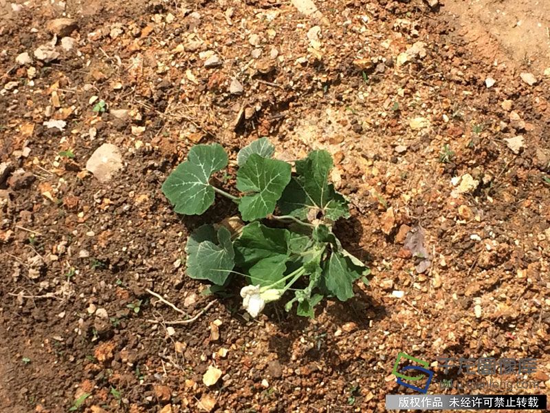 近些再近些走进艰苦偏远武警部队⑦现实版那山那人