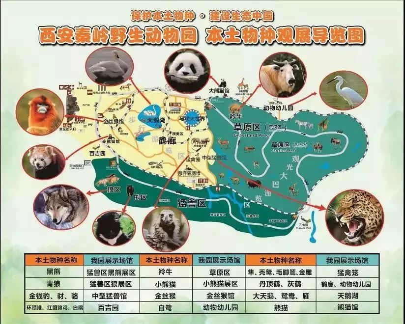 秦岭野生动物园使用说明:(1)此活动票限当天购买使用;(2)高考考生购买