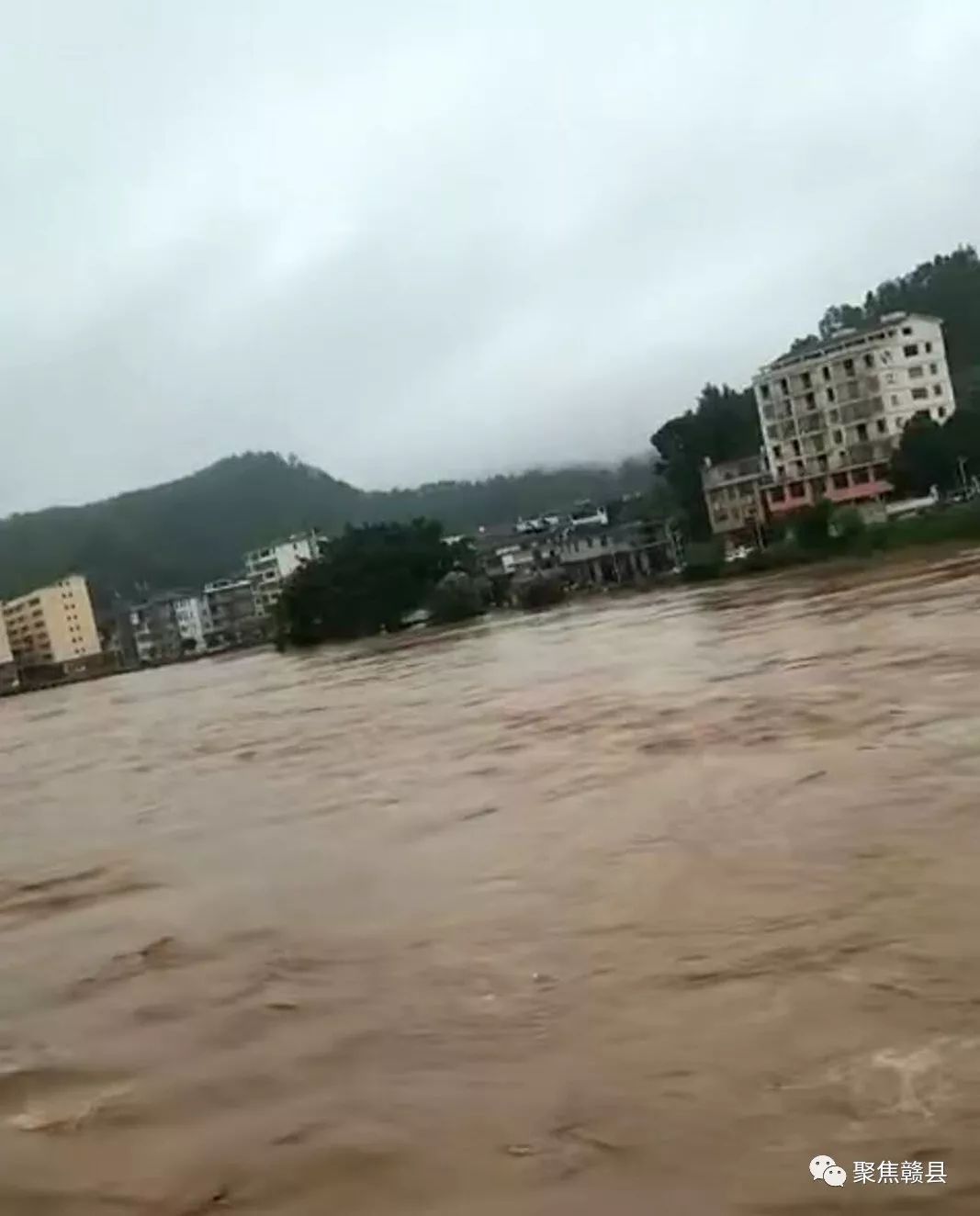 赣县王母渡大田水漫金山啦樱花公园也涨水了