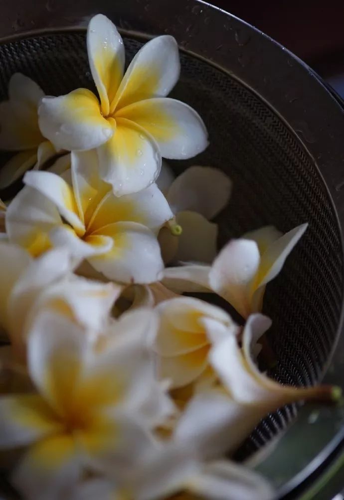 南花解热解郁因为它气机清灵啊