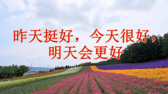 昨天挺好今天很好明天会更好