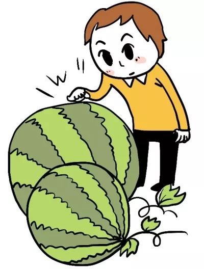 8424西瓜为何要叫8424