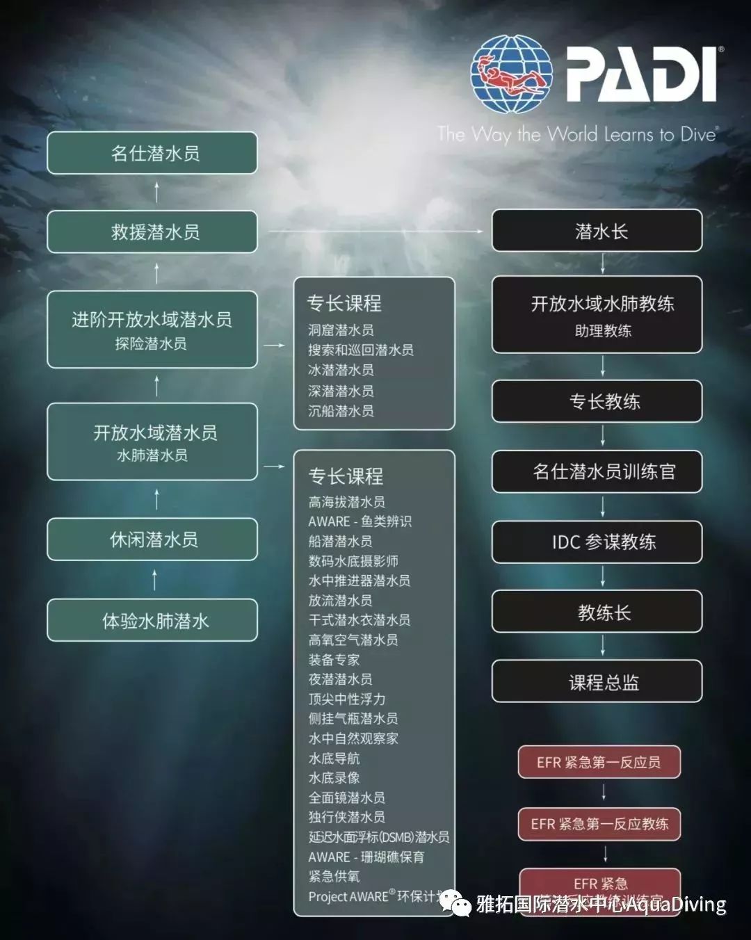 padi入门等级课程:padi开放水域潜水课程ow青岛,达拉盖地下潜深度:18