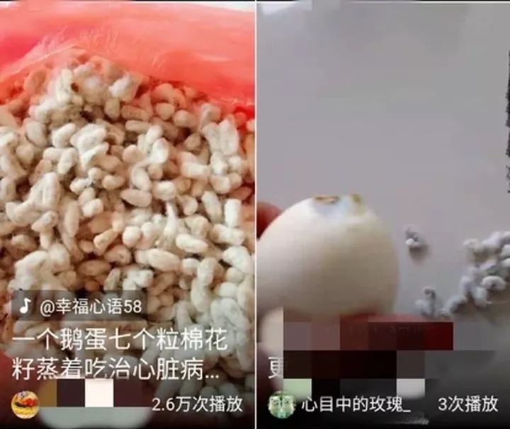 棉花籽蒸鹅蛋能治心脏病轻信网红偏方五旬老人差点丧命