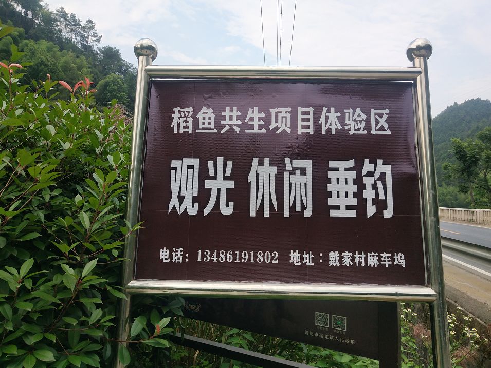 钓鱼去他们为你承包了这么多片鱼塘