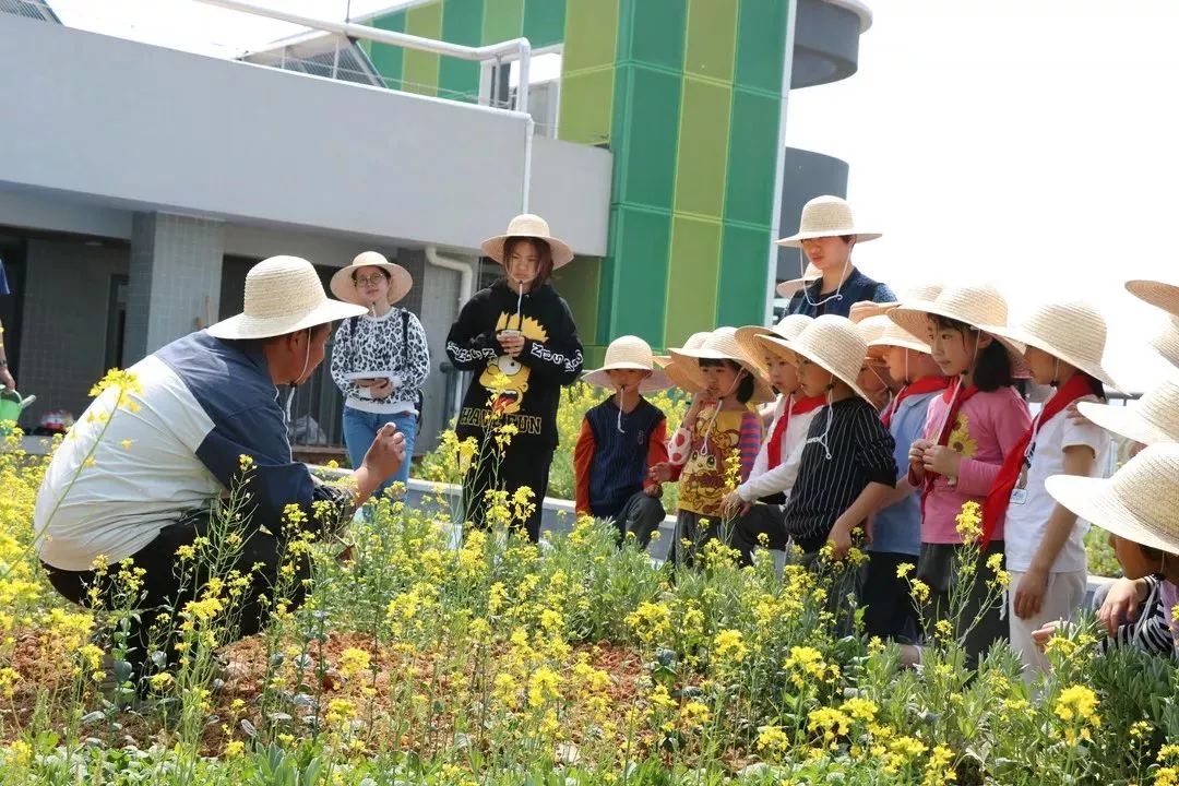 直播预告丨学校的孩子们当上了开心农场主