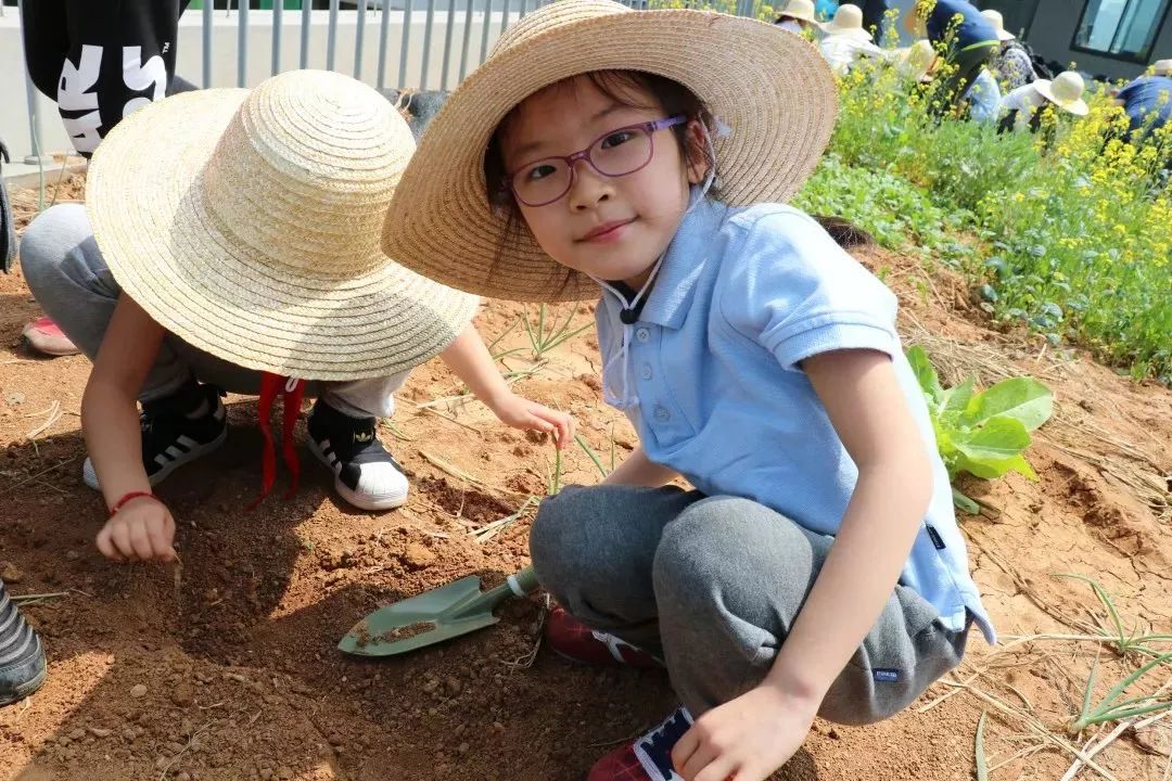 让孩子们更多的参与实践,走出校园,走向社会,认识到