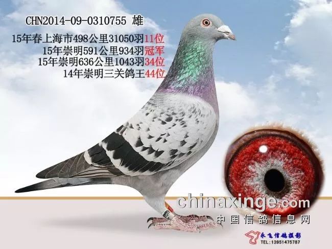 专访2019年上海市千公里总冠军姚雪中