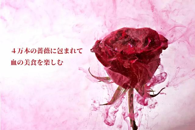 东京喰种主题餐厅开放用40000朵蔷薇打造血宴一周acg趣闻