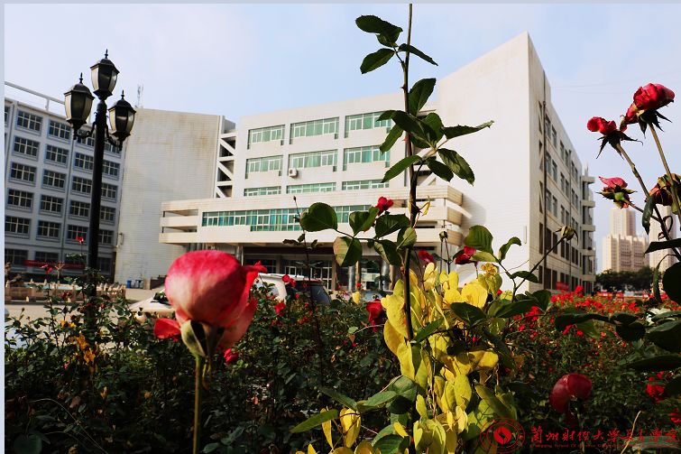 2019甘肃高招兰州财经大学长青学院