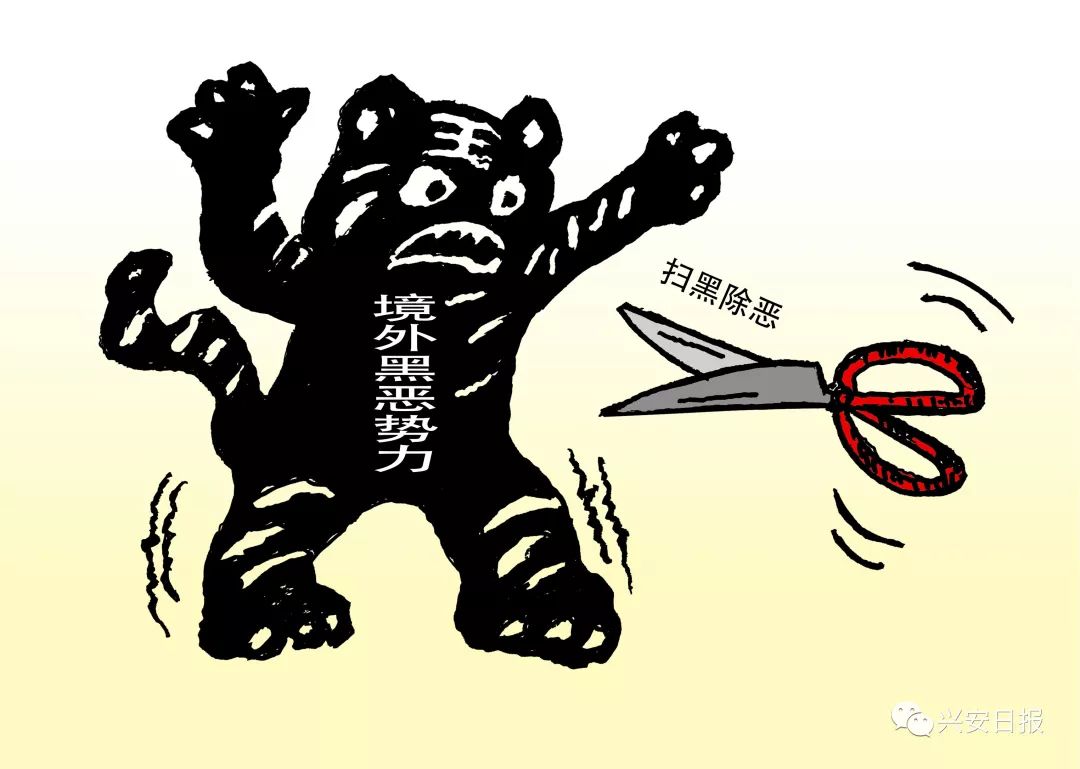 崔书江11,强行插手土地,草场承包,以非法手段攫取最大利益的黑恶势力