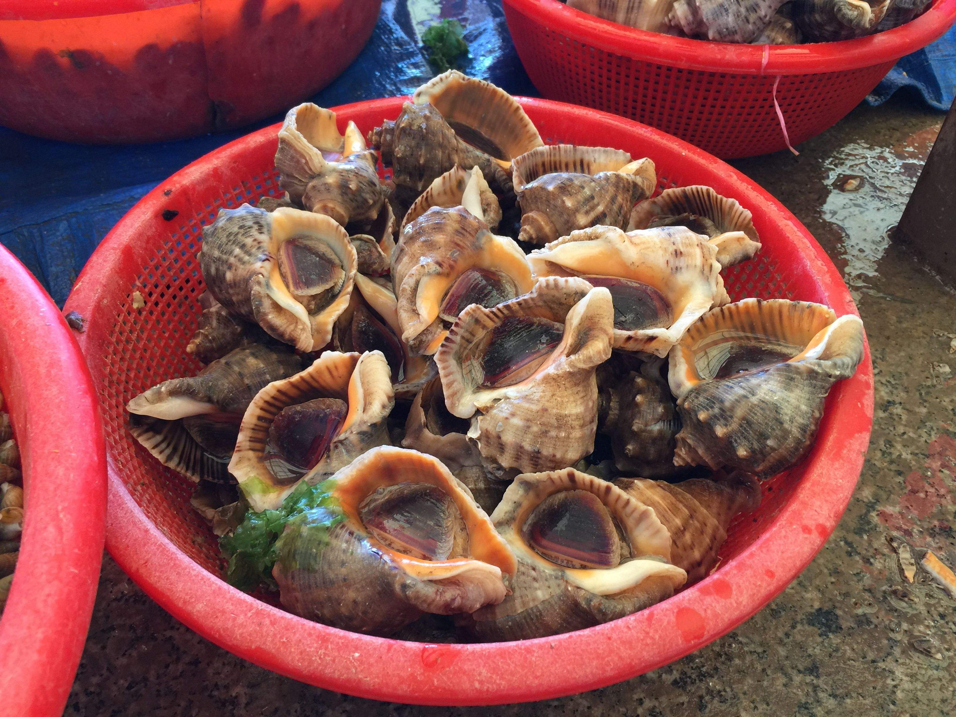 夏天是吃海螺的好季节,要注意这些部位不要吃,好多人都忽略了