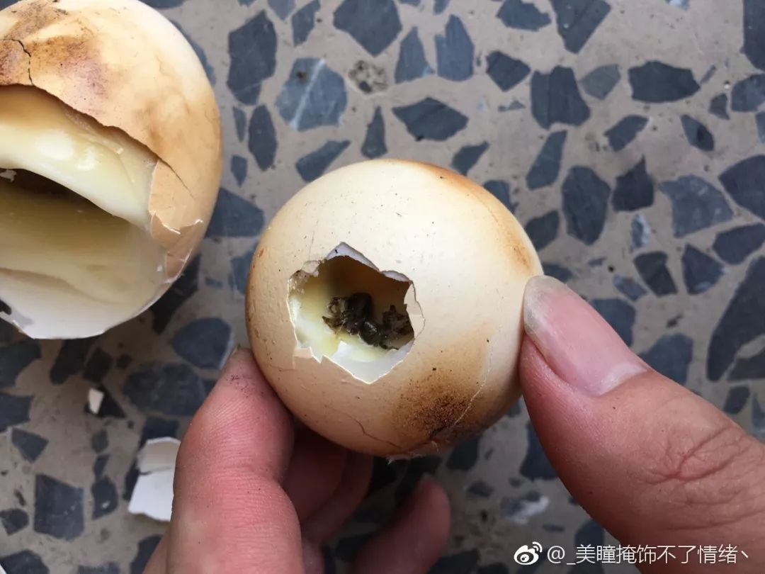 据说这样做很香_蜘蛛