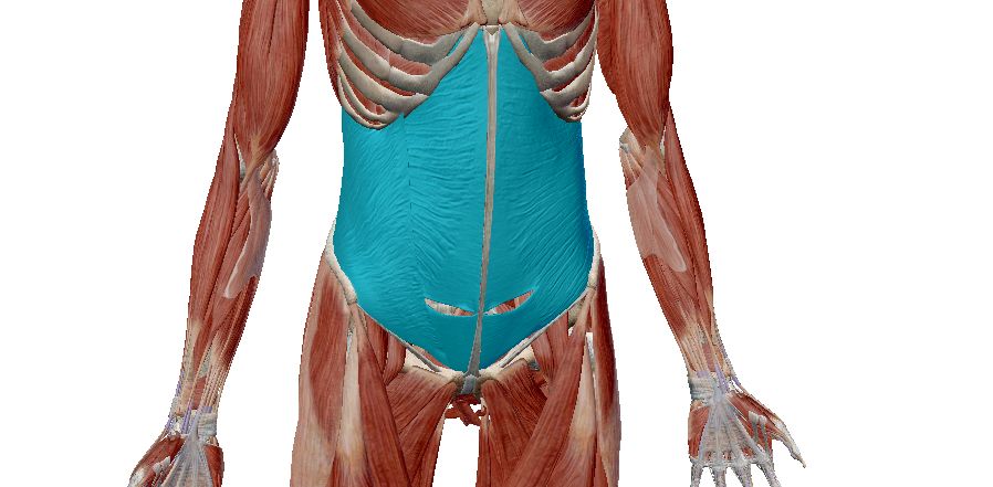 土耳其起立动作教学 | 3hfit实用技术教学