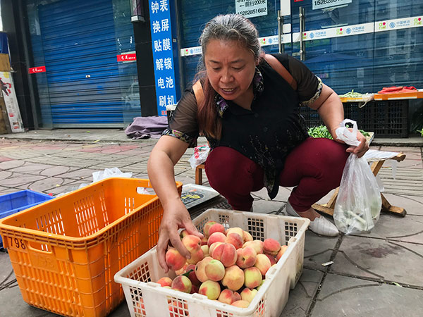 瘫痪多年的丈夫走了周大姐想卖桃子把债还了