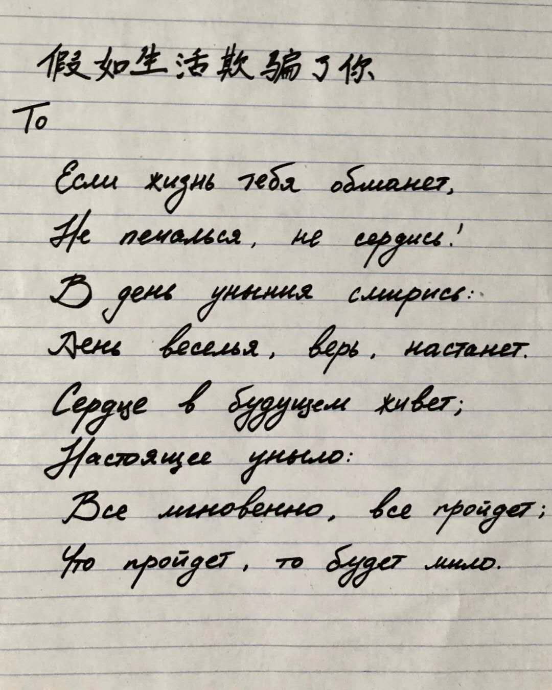 普希金诗歌俄语书法大赛投票第一组