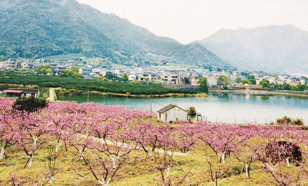 象山大碶头村图片