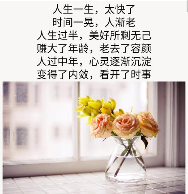 人生过半,你赚到了什么(精辟)