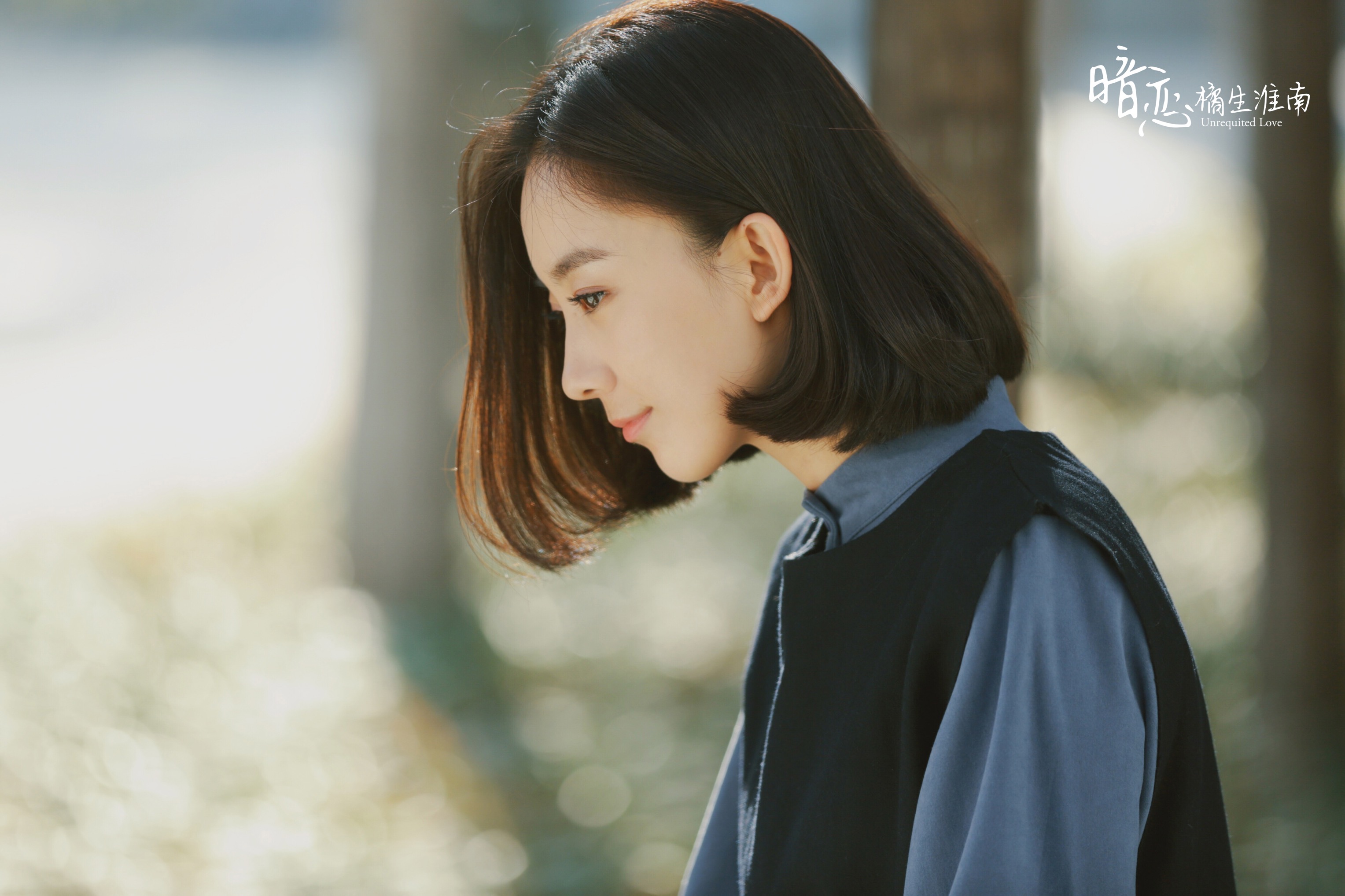 《暗恋橘生淮南》这样的洛枳怎能令人不爱,说过的话太有力量