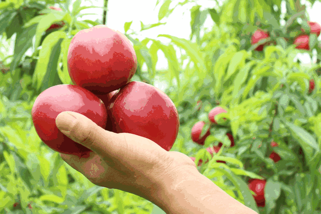 640_427gif 动态图 动图