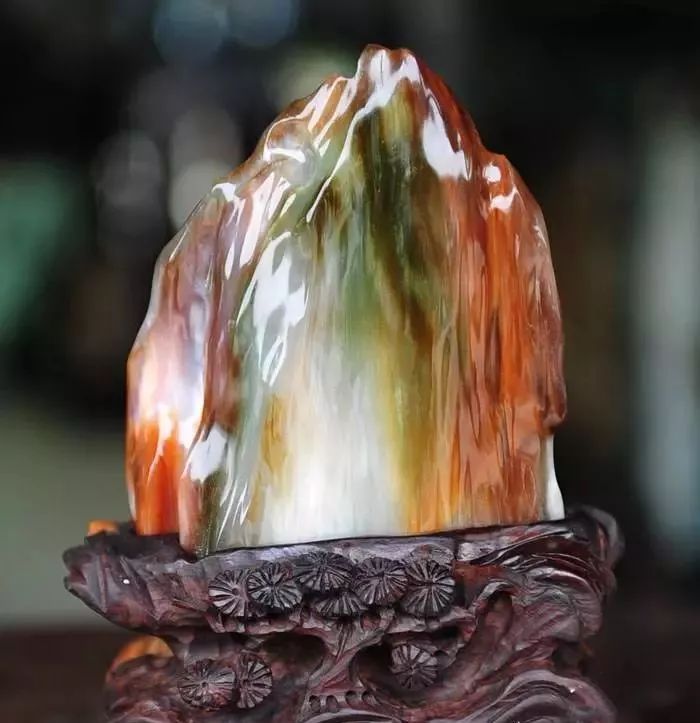 玉石族里的新宠——树化玉