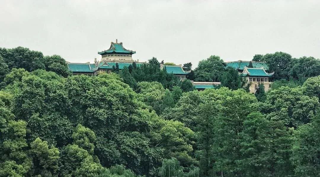 樱花城堡是对武汉大学狮子山腰上老斋舍与樱花的合称.
