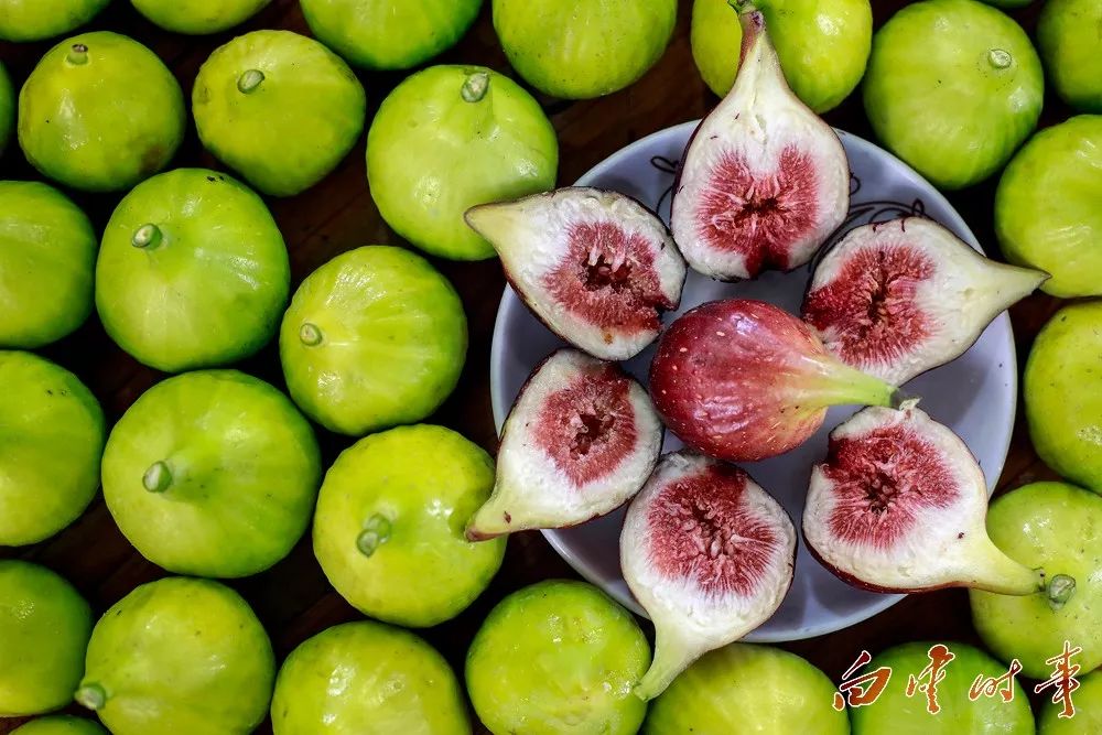 龙眼黄皮火龙果这个夏天来白云有好果子吃