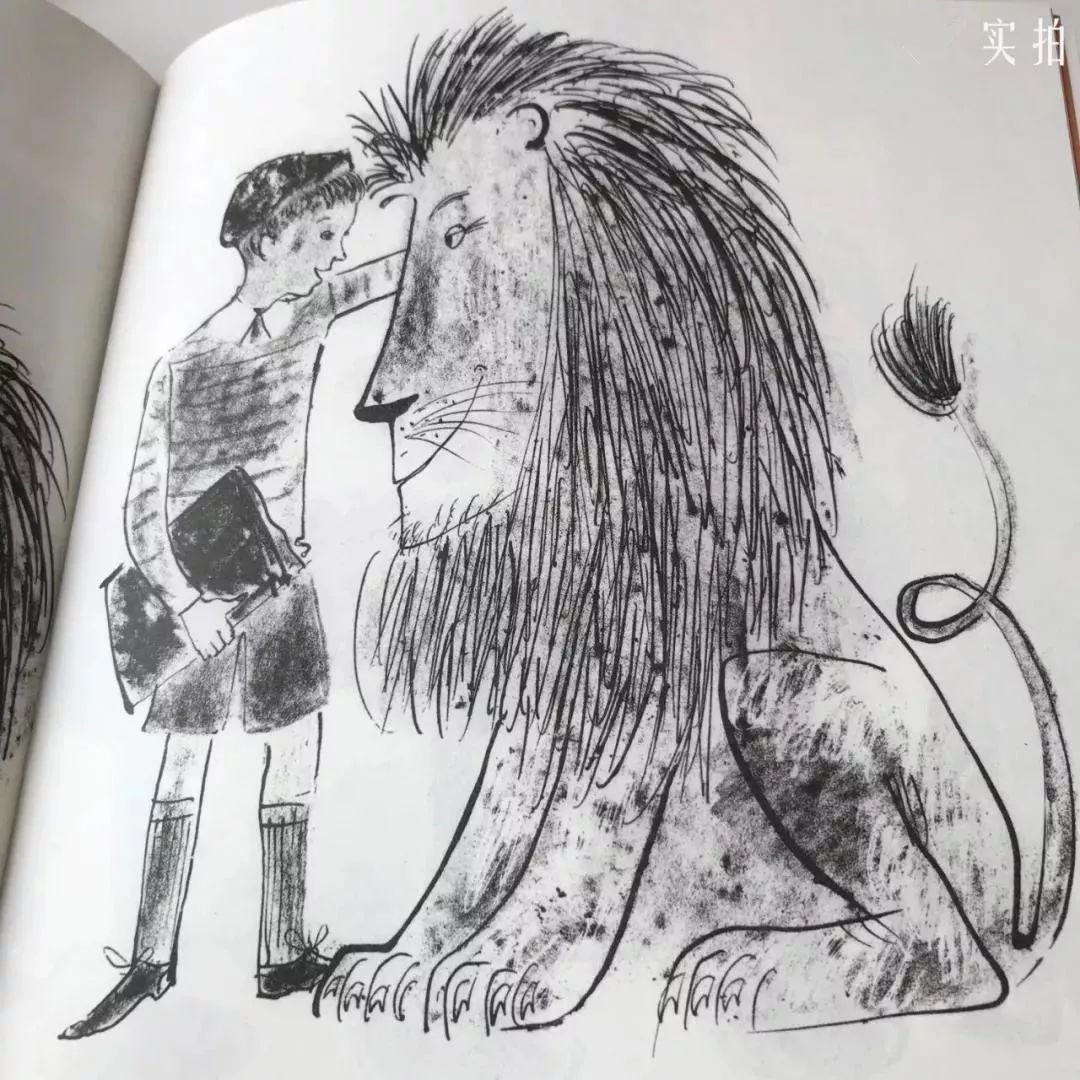 团丨畅销全球65年的世界经典绘本,这只狮子活成了每个孩子心中自己的样子_迪瓦