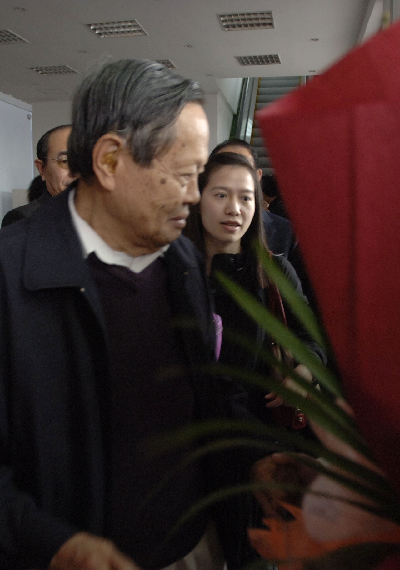 97岁杨振宁携翁帆看画展全程十指紧扣结婚15年依然恩爱如初