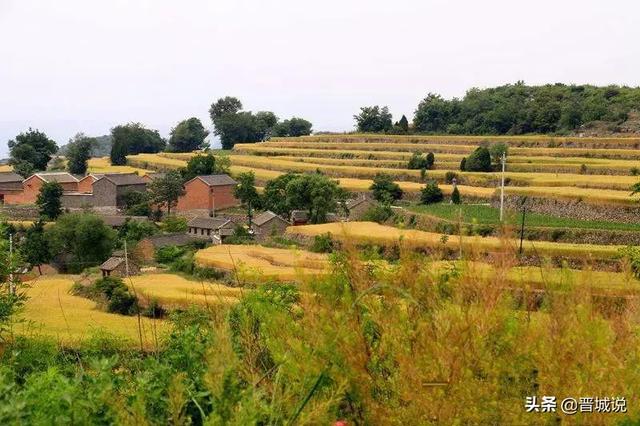 风吹麦田,麦田摇荡,麦浪把幸福送到村庄.