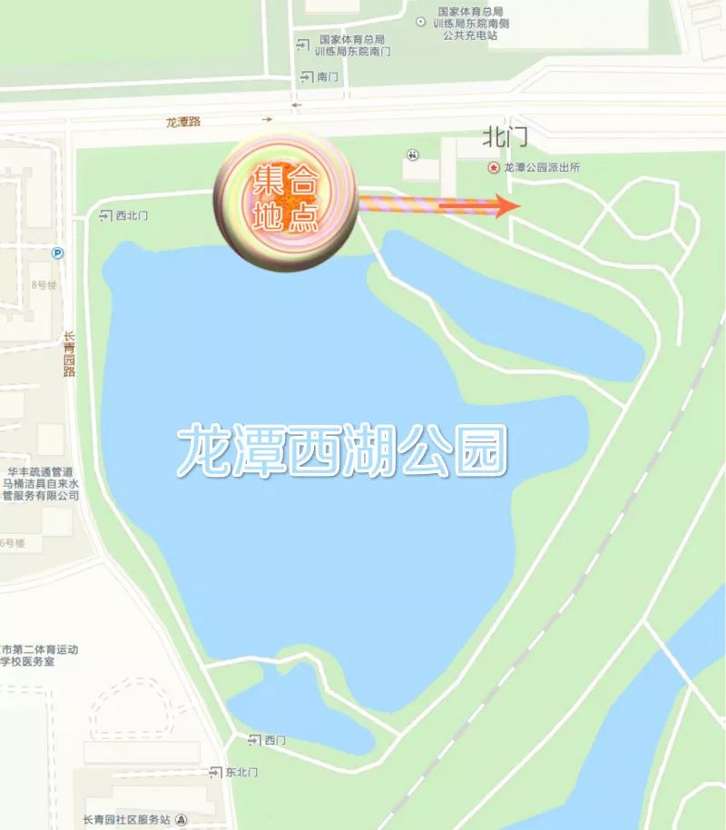 615龙潭西湖公园第二届动物运动会招募