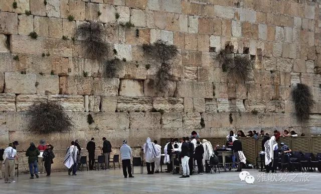 20周二早餐后前往前往【国会山】,在象征以色列的【大七烛台】拍照