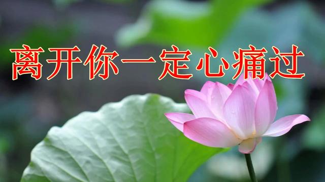 离开你一定心痛过