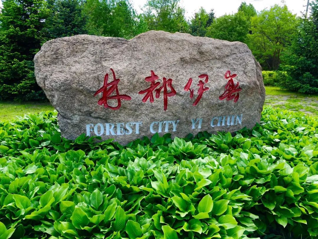 浪漫森林城林都伊春